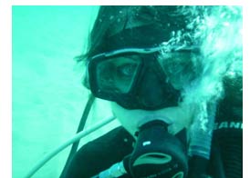 Scuba Diving on the Sunshine Coast